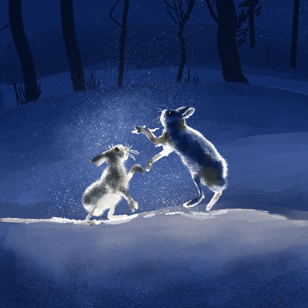 A drawing of two hares fighting in a dark blue snow covered landscape with a few stark silhouettes of trees