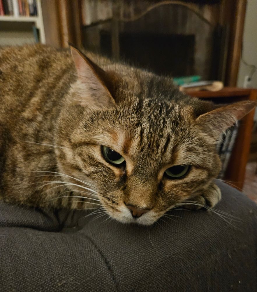 My sweet angel Frances 