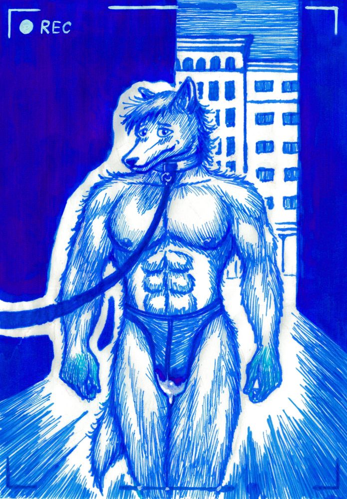 Walking towards the camera person is a subby canine stud, who has been leashed, and is walking about the city alleyways in nothing but his underwear. He seems thrilled and excited at being filmed whilst in just his briefs, bulge dripping with cum.