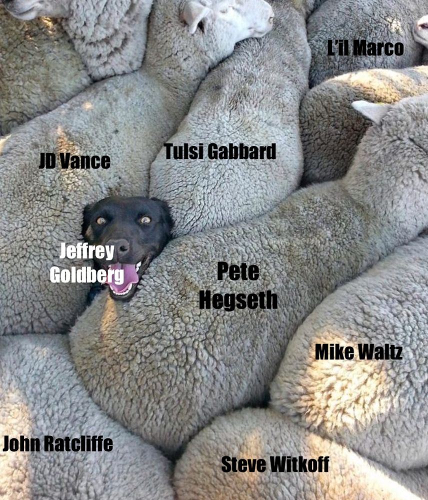 Comment image