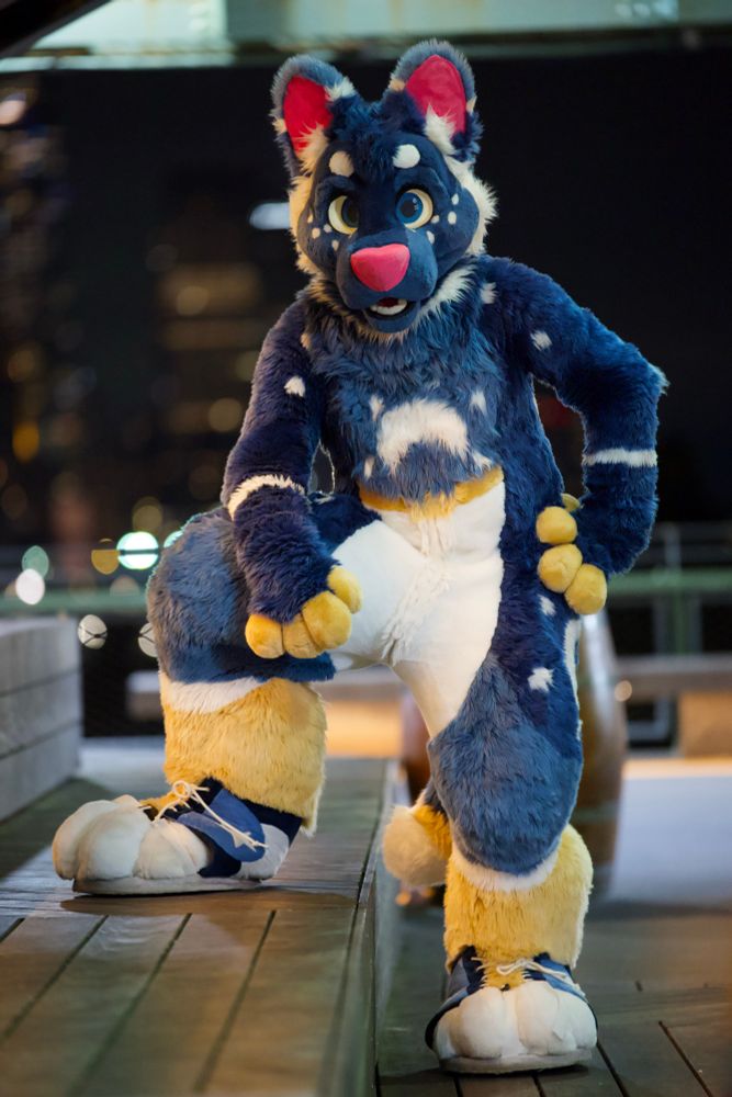 A full-body shot shows a person in a dark blue fursuit with white markings, resembling a night sky with stars, and some light yellow fur. The fursuit has a large head with wide blue eyes, pink inner ears, and a pink nose. The character is posing with one leg bent and foot resting on a wooden surface, while the other foot is on the ground. The background is dark and out of focus, suggesting an indoor or nighttime setting with some structural elements visible.