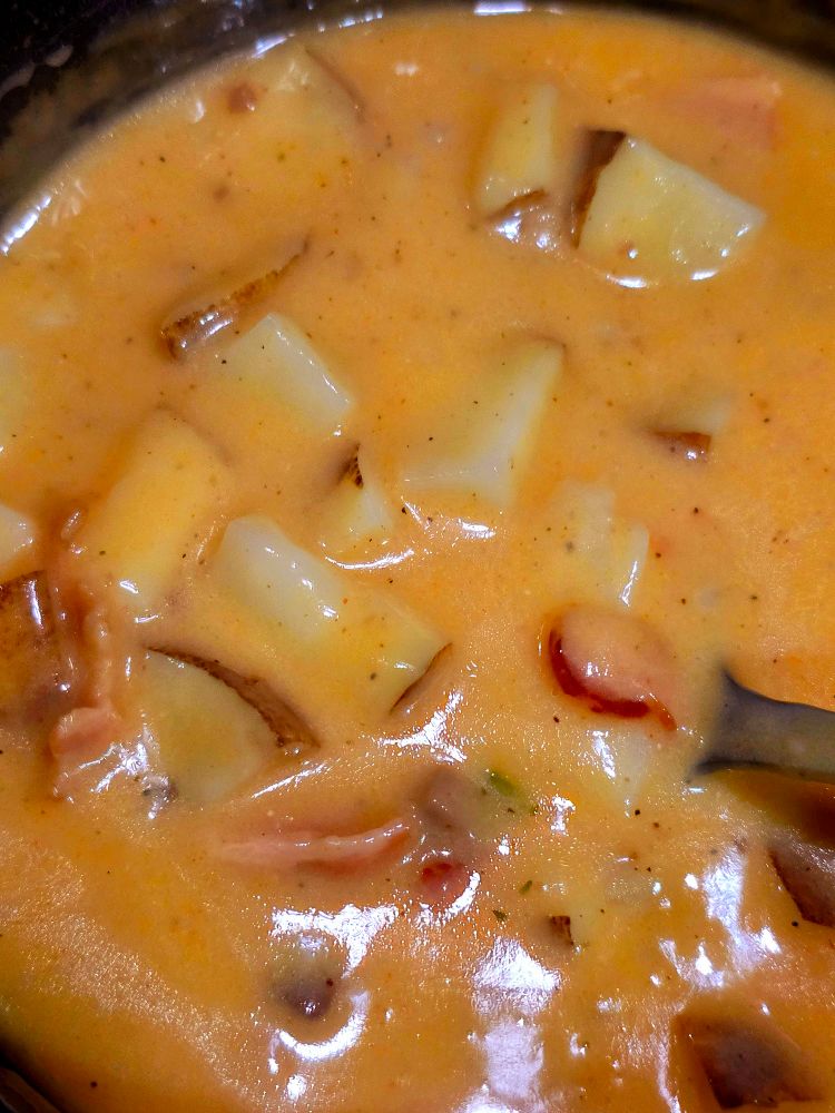 Potatoes and cheddar soup with green onions and bacon in pot