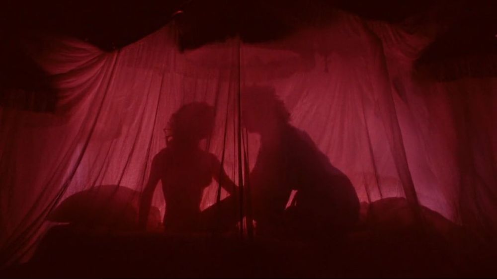 Janet (Susan Sarondon) e Frank (Tim Curry) compartilham um momento sensual e sexual em uma cama encoberta por uma espécie de mosqueteiro de um vermelho bastante vivo. 