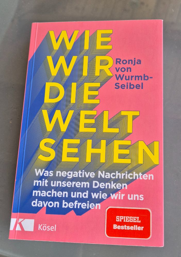 Buch: Wie wir die Welt sehen, Ronja Wurmb-Seibel