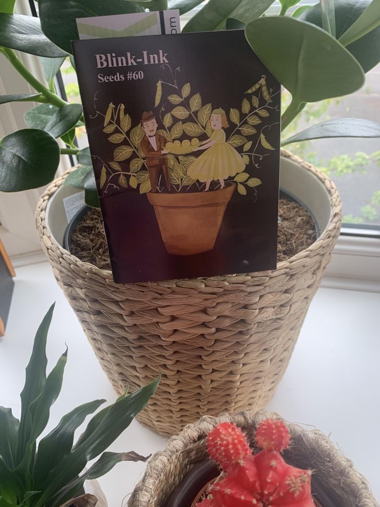 photograph of small paperback book by Blink-Ink with Seeds number 60 written on the cover, which is black and has a picture of a man in a brown suit and a woman in a green dress dancing in a flower pot. The book is in a plant pot and a cactus and other plant are at the bottom edge of the photo