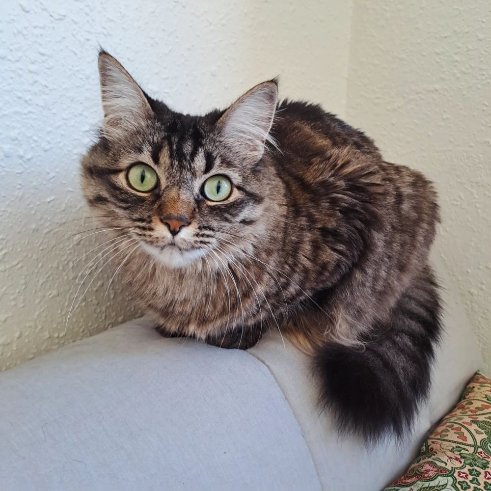 Ma magnifique princesse et ses grands yeux vert