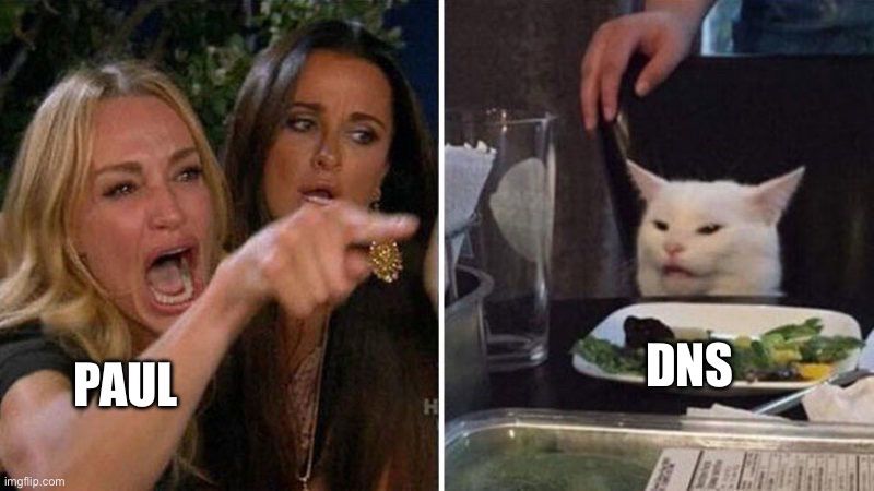 Meme where an angry woman seems to be arguing with a confused cat. Here Paul is the woman, and the DNS are the cat 