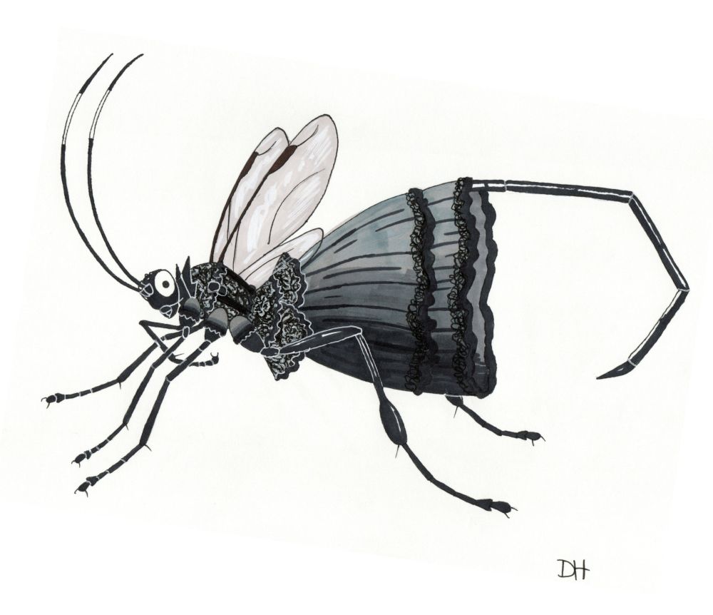 Pelecinus polyturator in an elegant black dress...because why not! 
