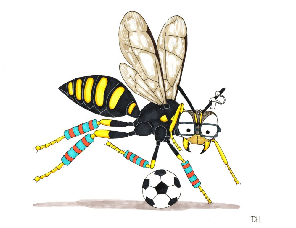 Another friend who is very enthusiastic about soccer. The little device on the antenna is a cochlear implant. I chose Ectemnius for him because he inspired a square-headed wasp themed comic for my book and thought of the caption! 