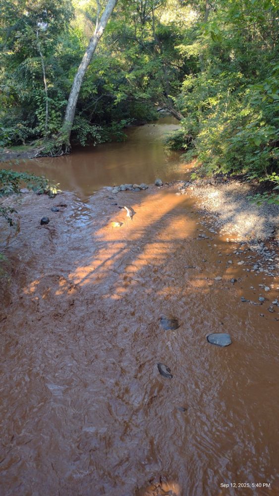 Mud flow in Big Chico Creek 