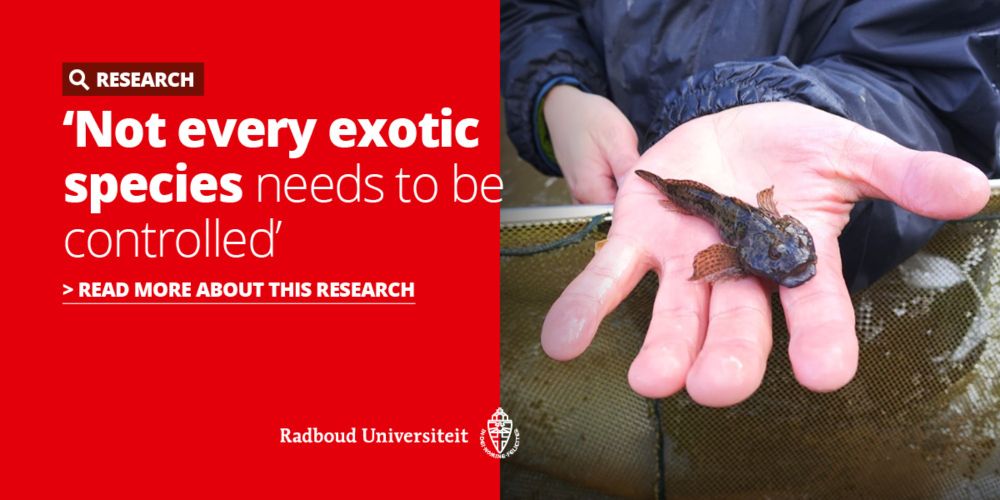 'Not every exotic species needs to be controlled' | Radboud University