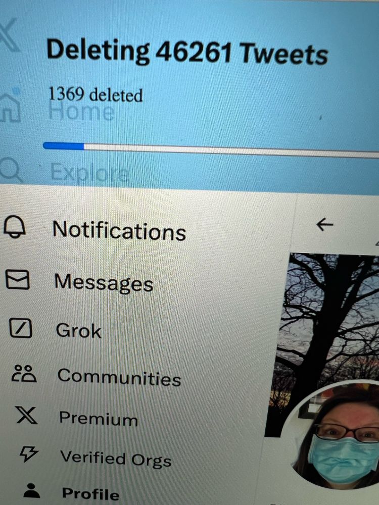 Picture of a browser screen showing 
Deleting 46261 Tweets
1369 deleted
Above a menu from that other social media app