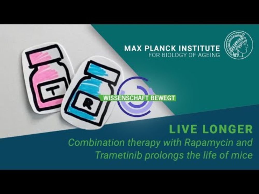Live longer - Combination therapy with Rapamycin and Trametinib prolongs the life of mice