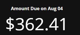 a Screenshot of Peanut's electric bill showing 363.41 due on august 4th