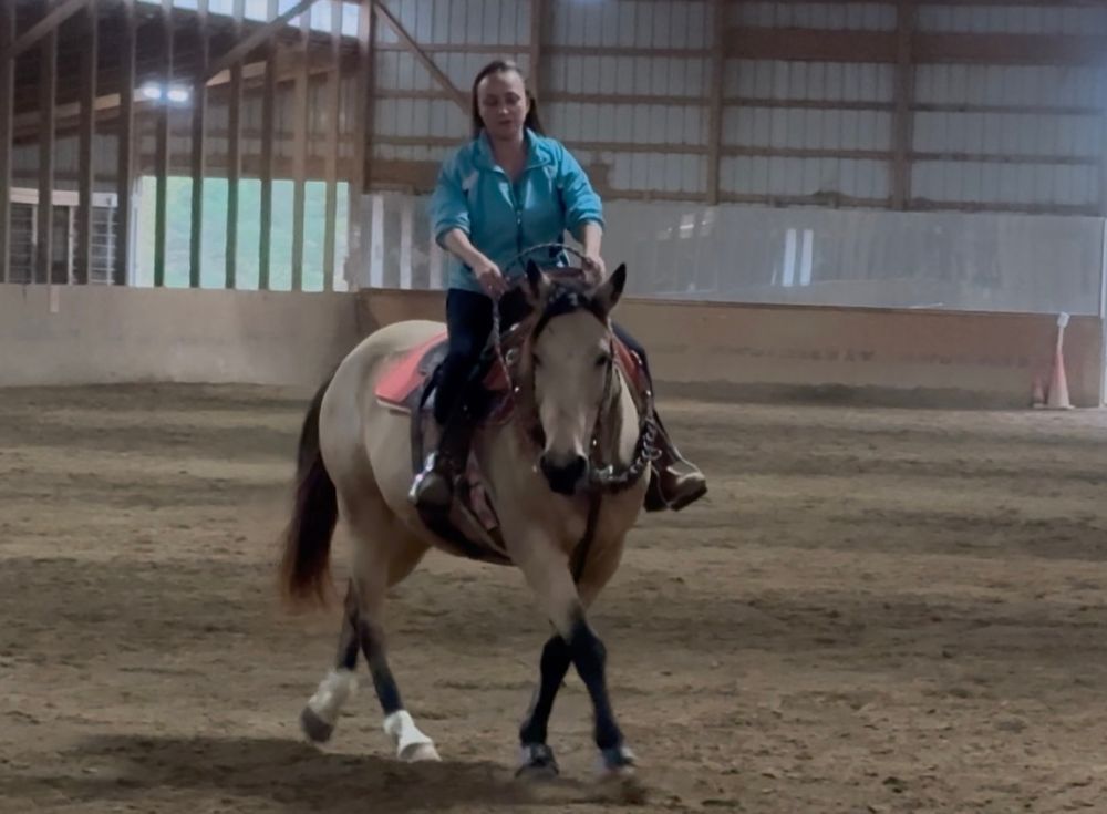 my buckskin horse Khaleesi 