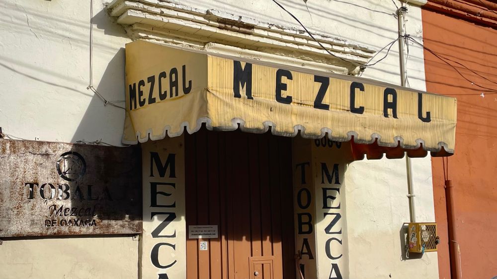 Mezcal shop in Oaxaca 