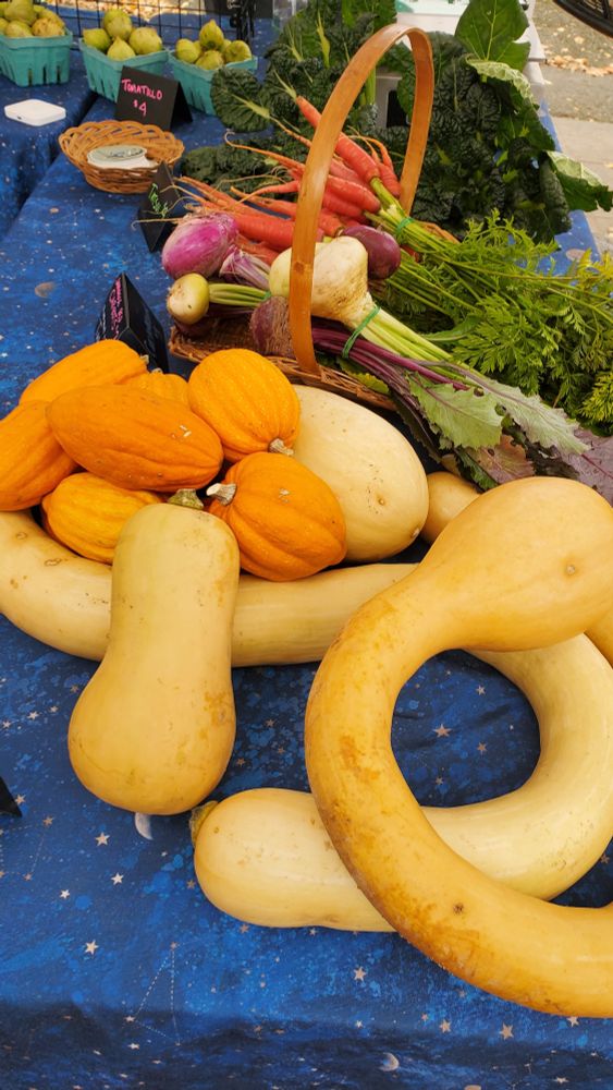 Artemis Farms' matket table with bright squash, red carrots, turnips, and leafy greens set on a starry blue tablecloth
