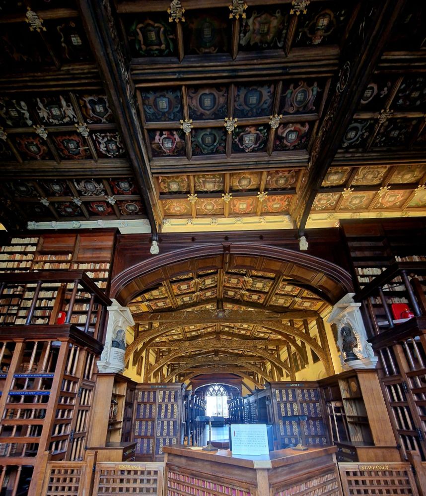 An elaborate ceiling in an old library.