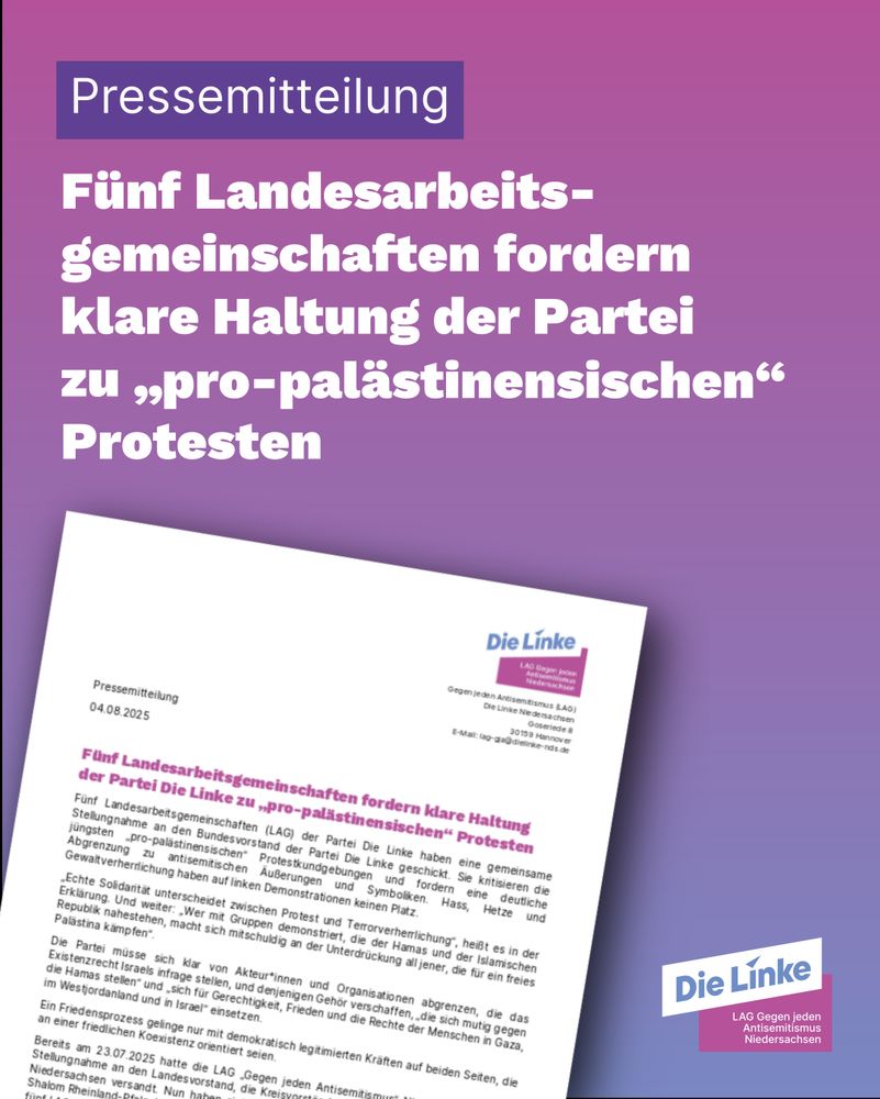 Vertikaler Farbverlauf von Rosa zu Violett. Darauf der Screenshot einer Pressemitteilung. Das Logo der LAG in der rechten unteren Ecke. Darüber eine Caption: "Pressemitteilung: Fünf Landesarbeitsgemeinschaften fordern klare Haltung der Partei zu „pro-palästinensischen“ Protesten".