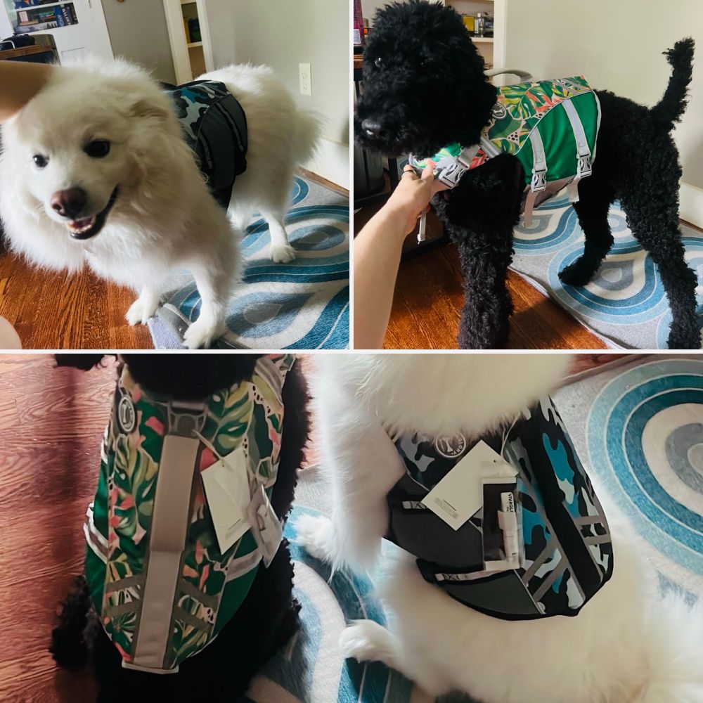 collage of three photos: a white spitz wearing a blue camo dog like jacket, a black poodle wearing a green tropical print dog life jacket, and a photo of both dogs from behind showing the full vests.