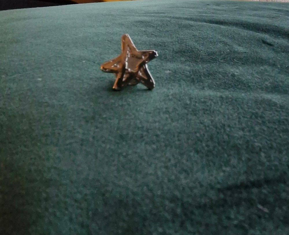 Small silver star which represents the charity 2Wish