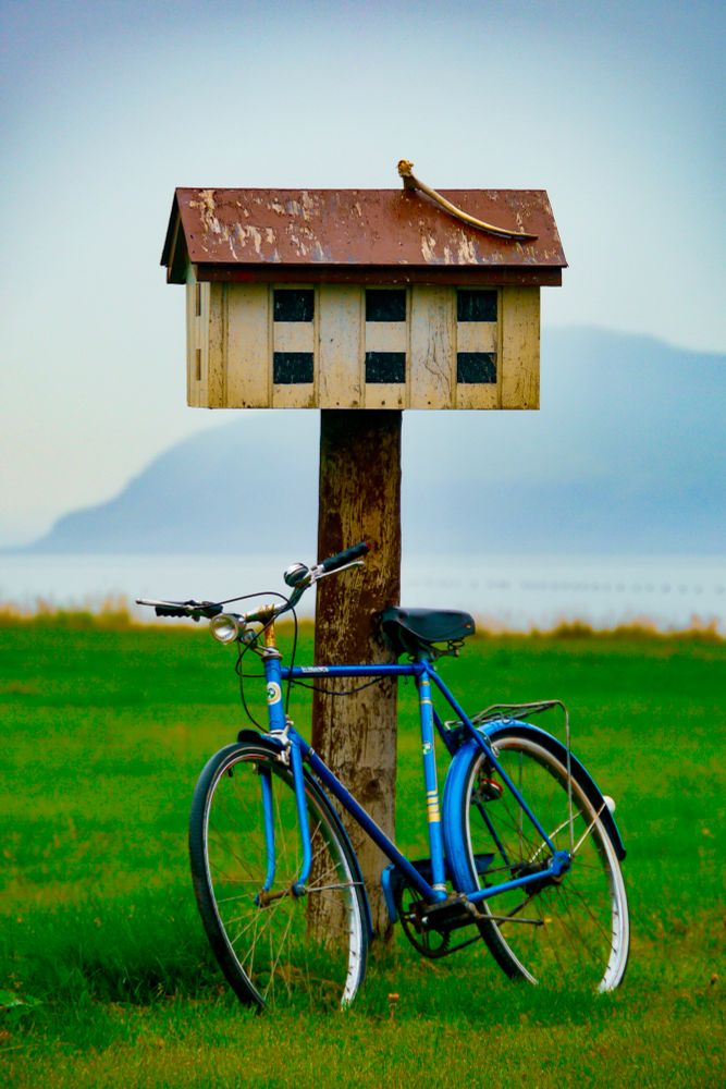 A vintage blue bicycle rests against a rustic birdhouse on a post, with a peaceful coastal landscape in the background.