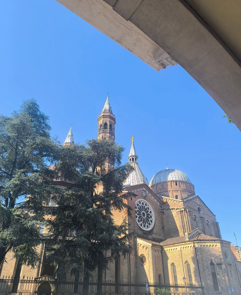 Basilica St Anthony pictures against a clear blue sky with a tree overhanging the front. 