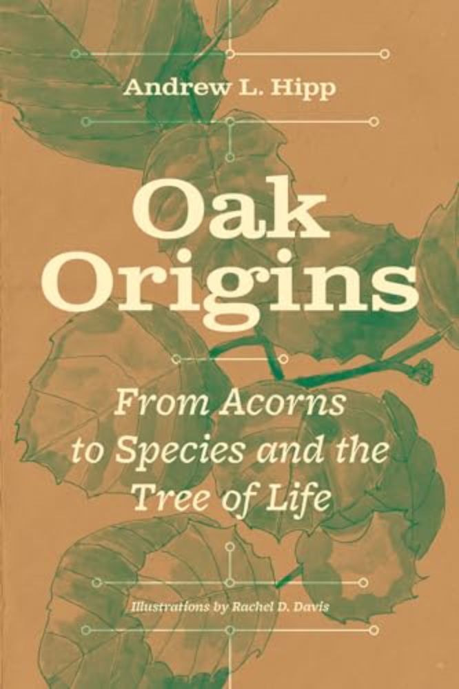 Oak Origins: From Acorns to Species and the Tree of Life by Andrew L Hipp