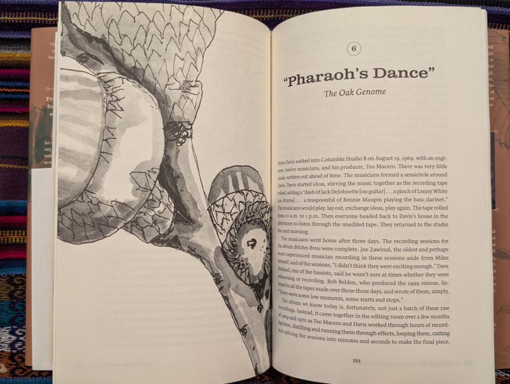 2-pg spread, opening of chapter 6: Pharaoh's Dance: the Oak Genome. Acorns of Quercus ellipsoidalis on the left page.