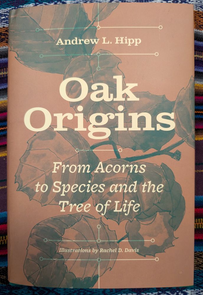 cover of Oak Origins: From Acorns to Species and the Tree of Life, by Andrew L. Hipp, Illustrated by Rachel D. Davis. https://bsky.app/profile/uchicagopress.bsky.social