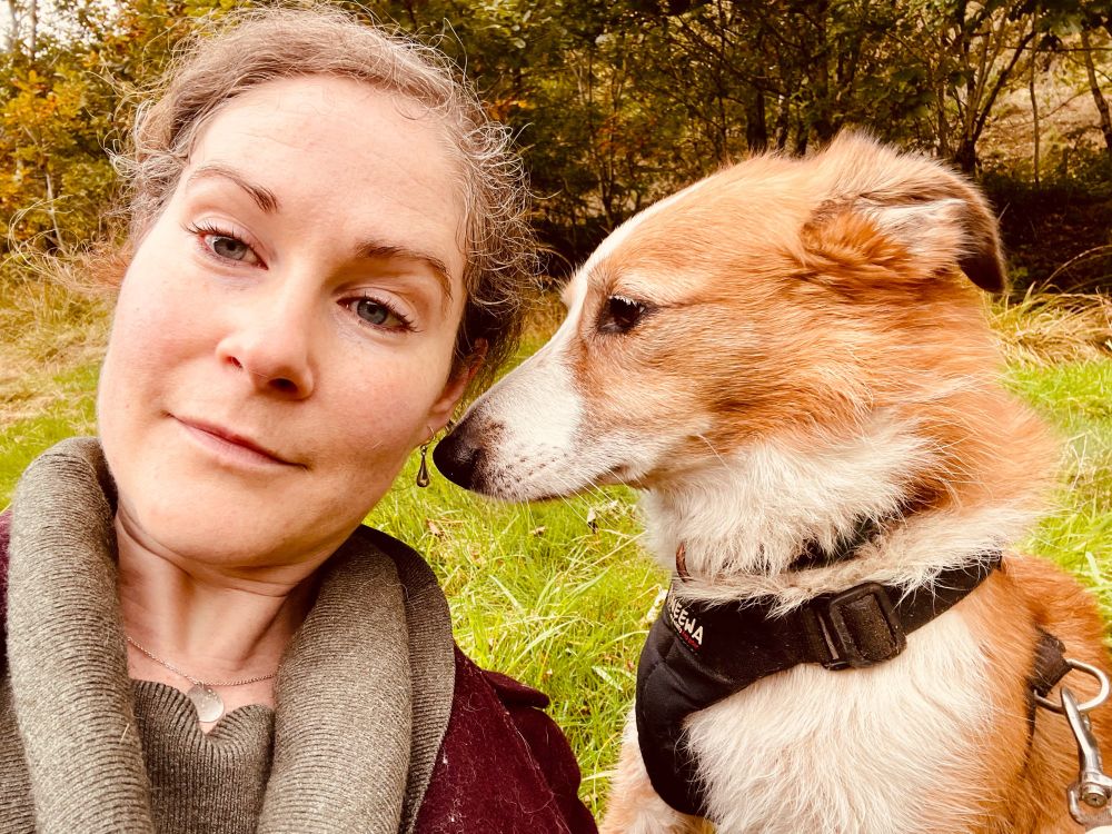 a sheepdog wondering why someone else is in her photo