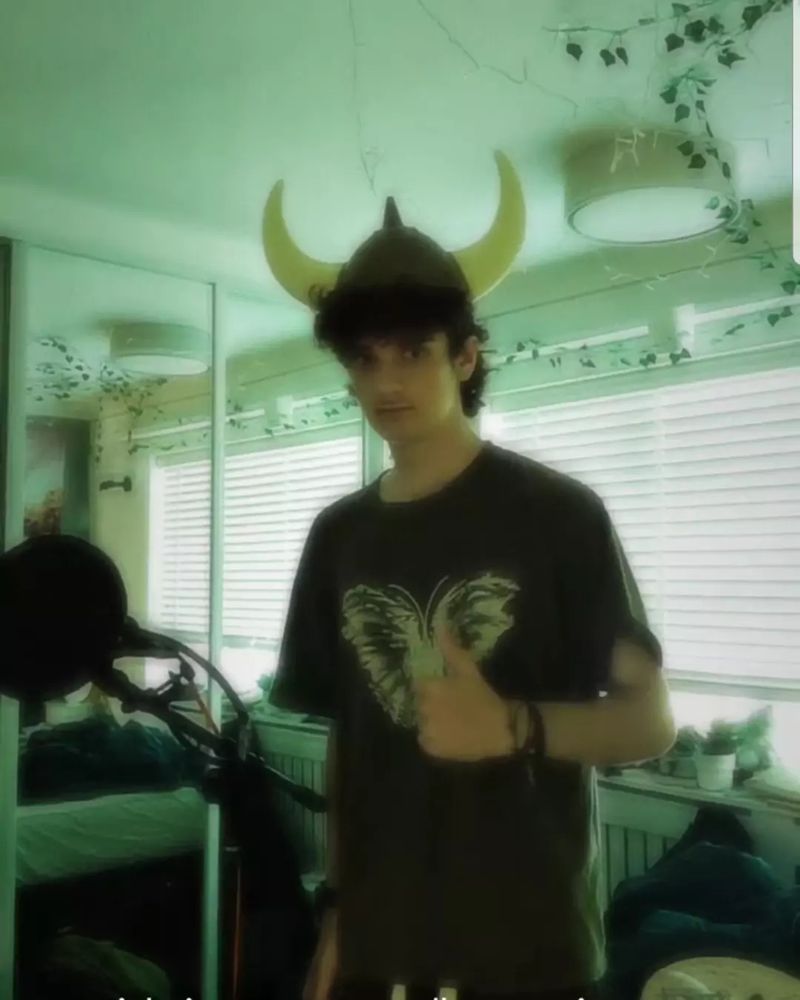 the reference image for the drawing