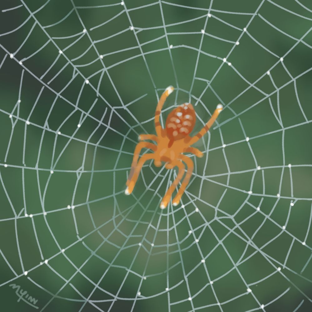 A drawing from october of an orange spider laying on its web