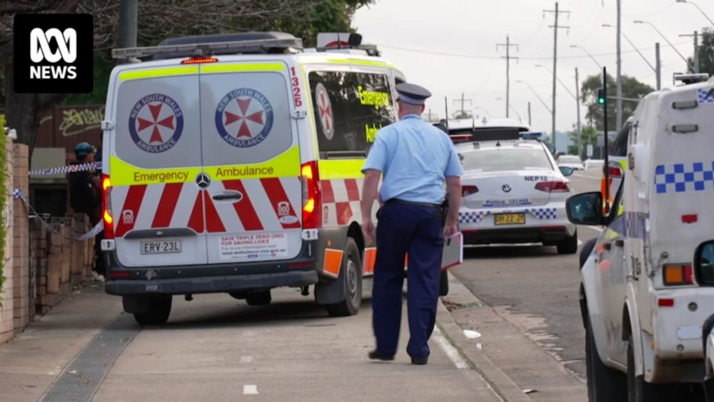 Woman stabbed to death in alleged domestic violence incident in Sydney's west, police hunting for perpetrator