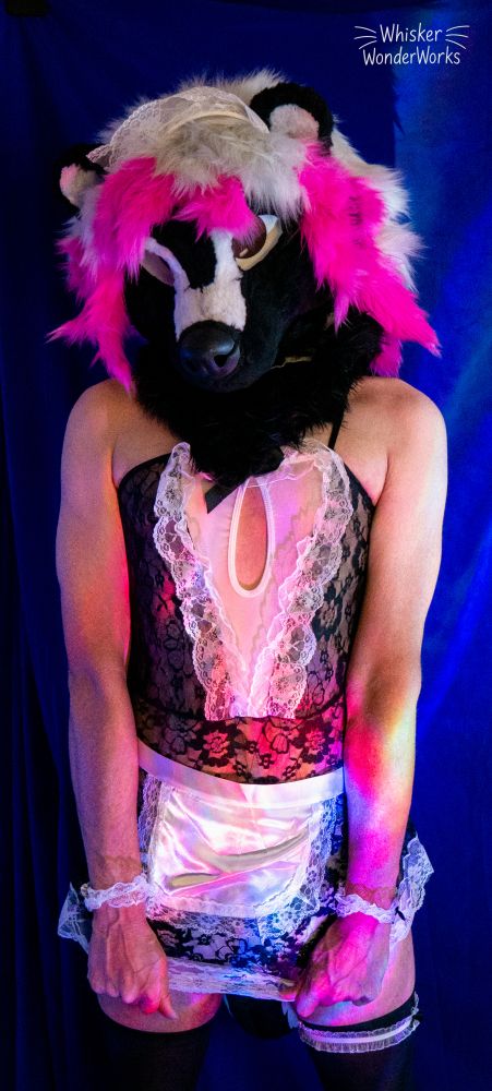 A partial skunk fursuit, with two white lines coming up her nose and forehead coming from the white blotch at her nose. Long, full and fluff silver hair with pink highlights adorn her head. She is wearing a black maid's outfit, a very skimpy, see through one, with little adornments throughout on her wrists, head, neck and leg. She is wearing black leggings too.

In this photo she has her hands pulling down her maid outfit to hide whats under the skirt a little bit longer, teasing you all