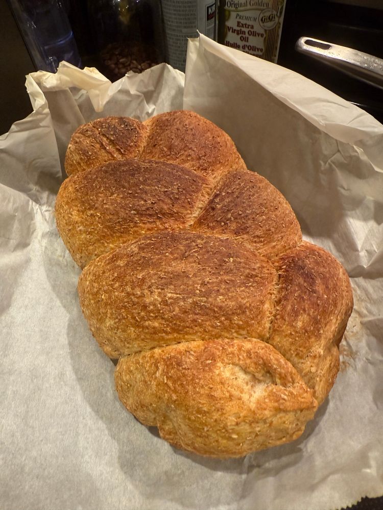 A loaf of 100% whole wheat bread, fresh from the oven
