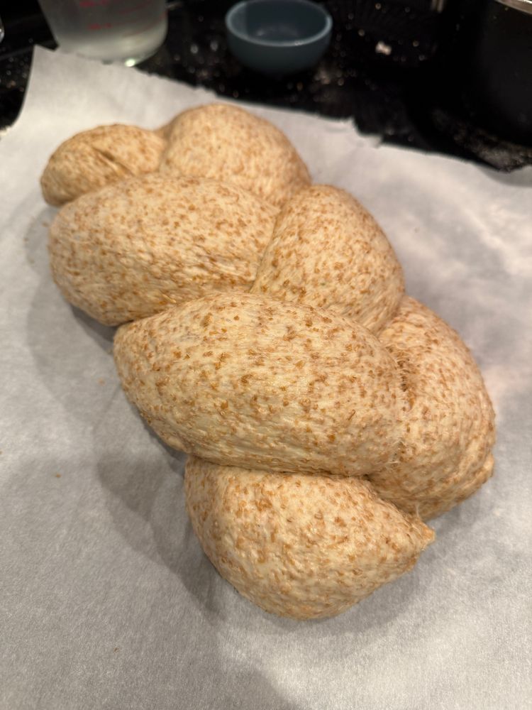 100% whole wheat bread dough, proofed and ready to bake 