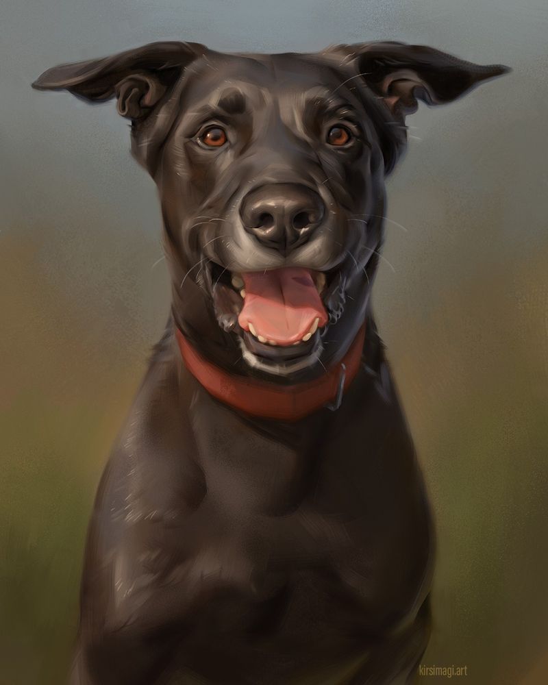 digitally painted pet portrait of a black dog with a red collar.