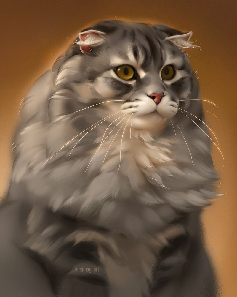 Digitally painted pet portrait of a very fluffy scottish fold cat. 