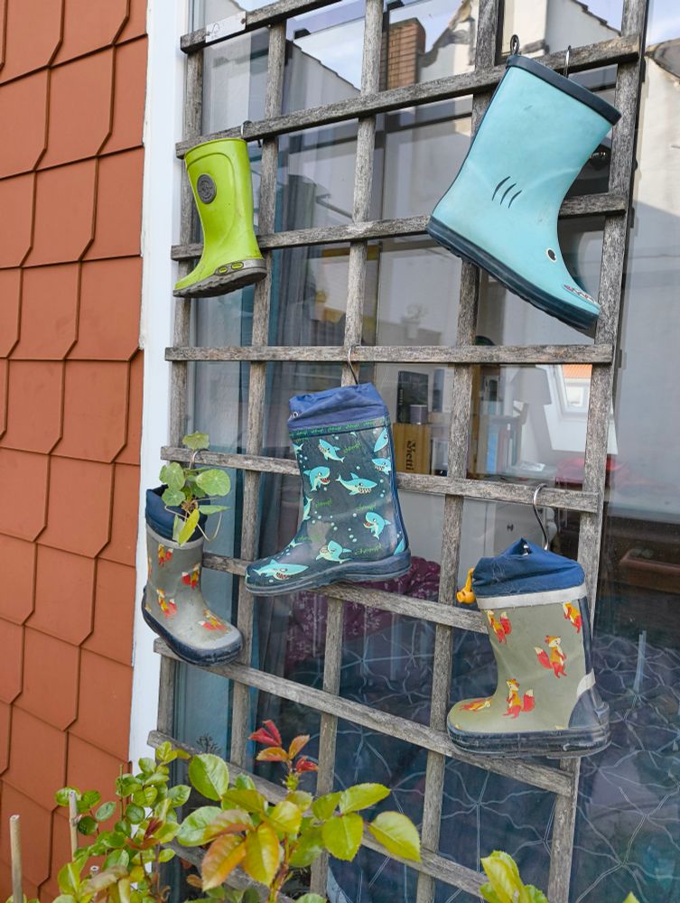 Rankgitter am Fenster, behängt mit bunten Gummistiefeln Größe 23-30. Teilweise wachsen aus den Stiefeln Pflanzen. Unter dem Gitter ist eine Rose