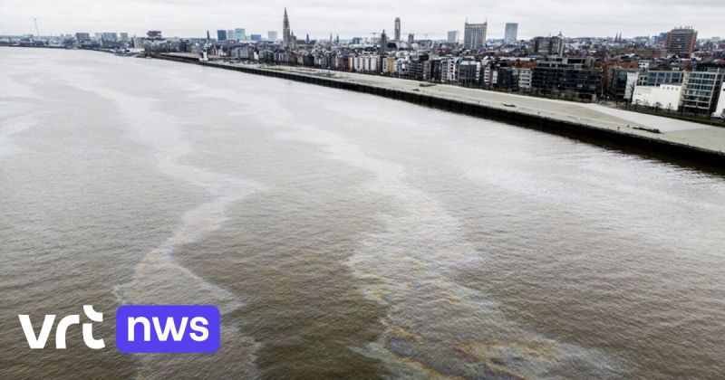 Slechts 1 op de 3 rivieren en meren in Europa haalt de lat voor waterkwaliteit, België heeft te veel pesticiden en stikstof in het water