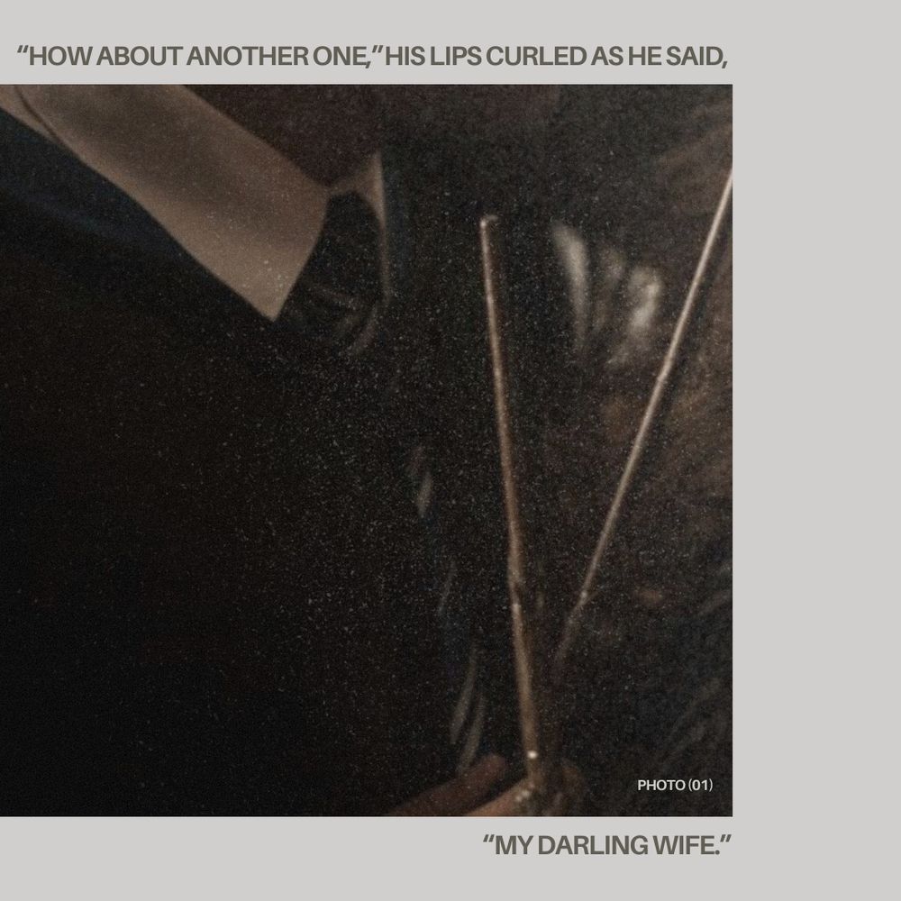 Picture of a person's chest holding a wand with the text "'How about another one,' his lips curled as he said, 'my darling wife.'"