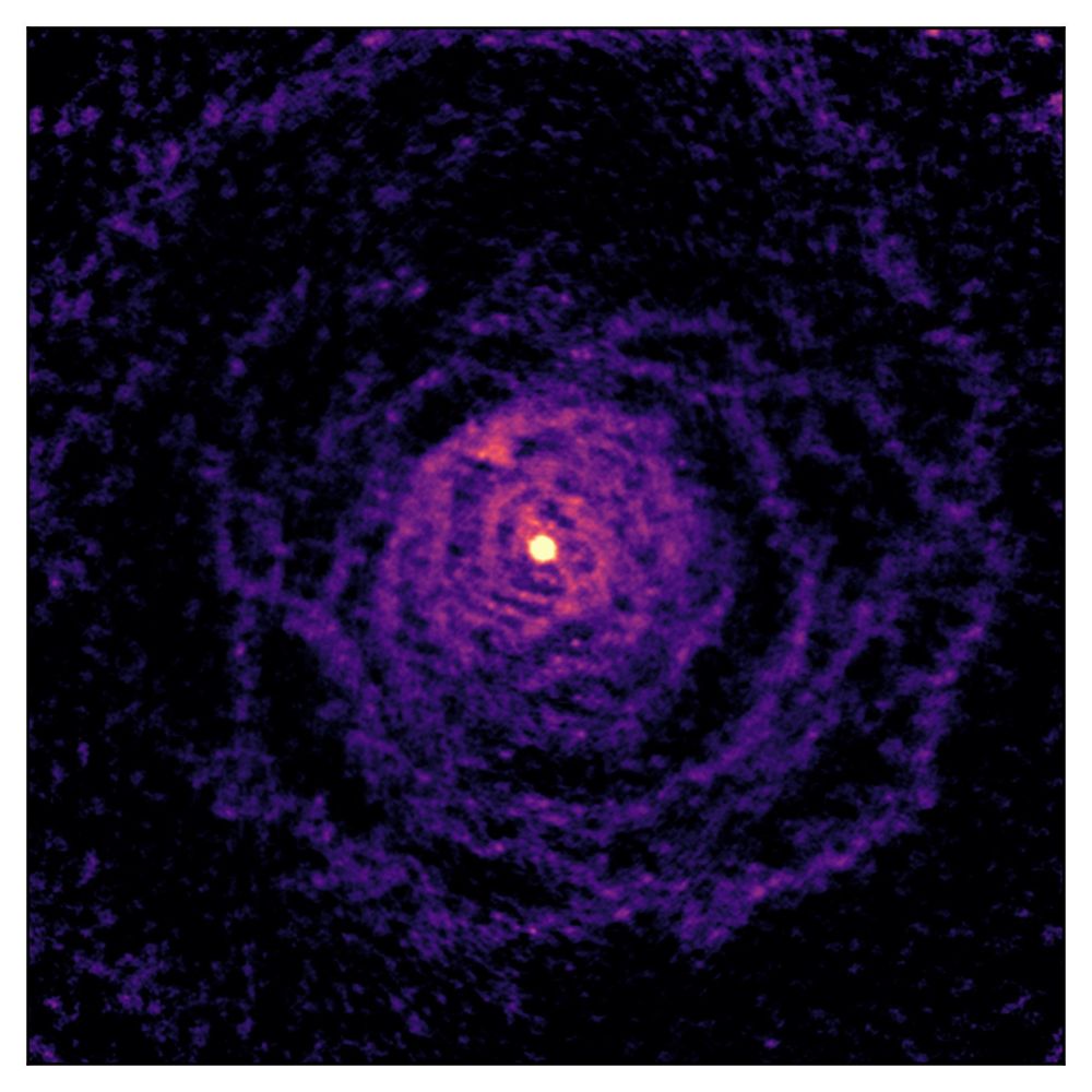 An image of an observation from the ALMA telescope. It shows how the gas around the dying star in W Aquilae has been shaped by interactions with a sunlike companion star, brighter arcs around the stars. The arcs are shown in purple-pink and get brighter and denser towards the centre of the image. Both stars are located in the bright yellow central region of this image and cannot be distinguished.