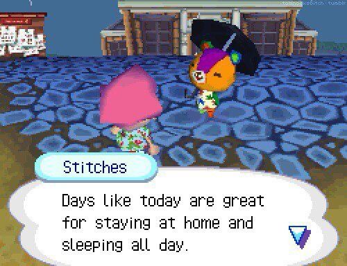 A screenshot from the game animal crossing with a bear villager named stitches saying “days like today are great for staying at home and sleeping all day.”