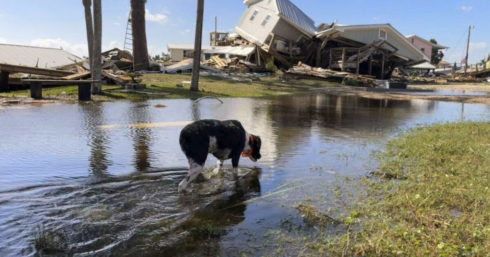 Hurricane Helene: Here's how to get help, and offer your assistance