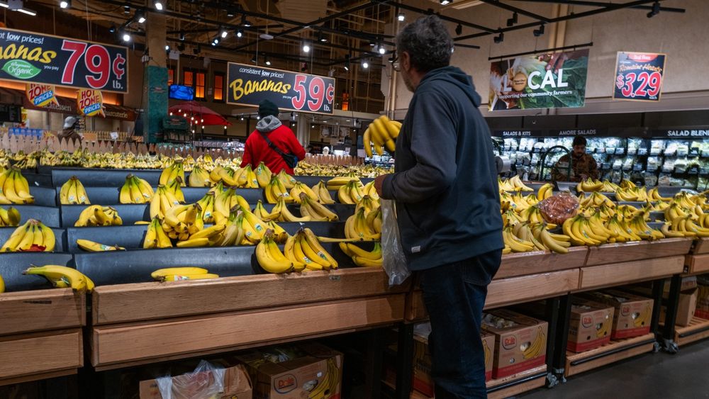 Twenty states and Washington, DC are suing USDA after the agency demanded states turn over sensitive data on applicants for food assistance by July 30.