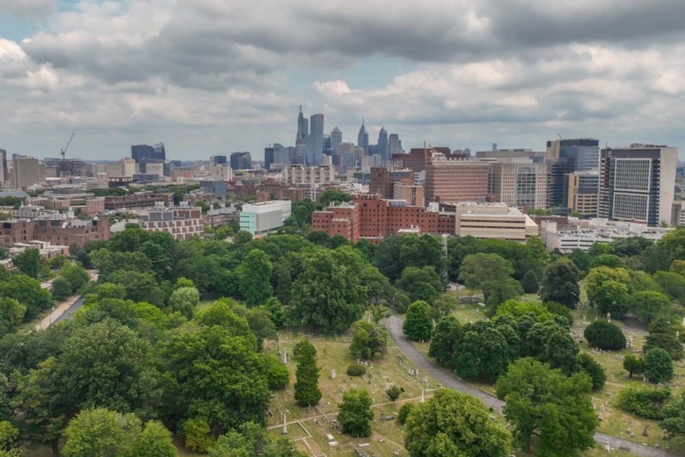 Philly nonprofit wants to climate-proof fruit trees for warmer growing season