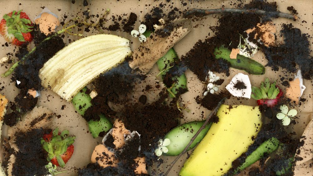 Composting can help fight climate change. Get started in 5 easy steps : Life Kit