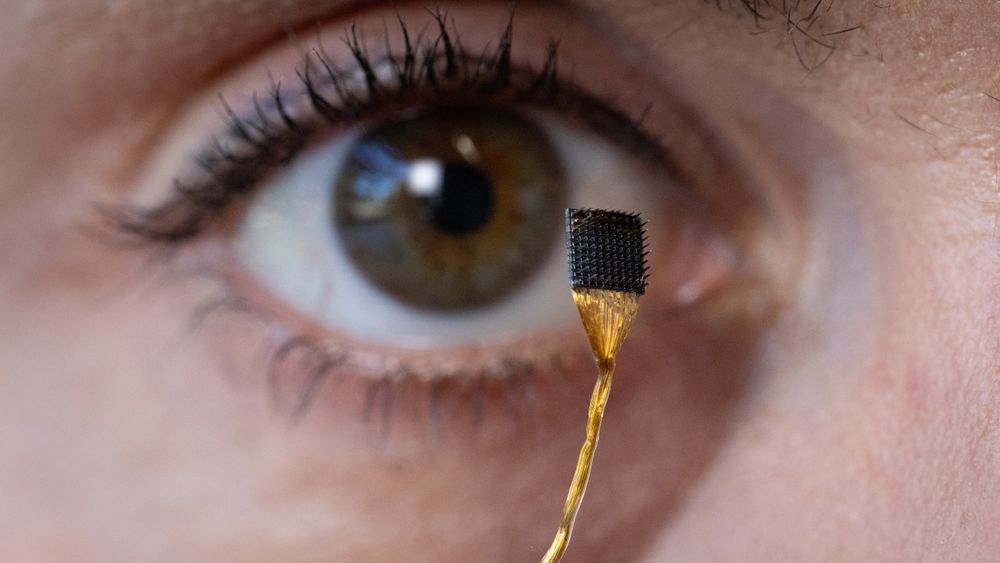 Brain-implanted devices that allow paralyzed people to speak can also decode words they imagine, but don't intend to share.