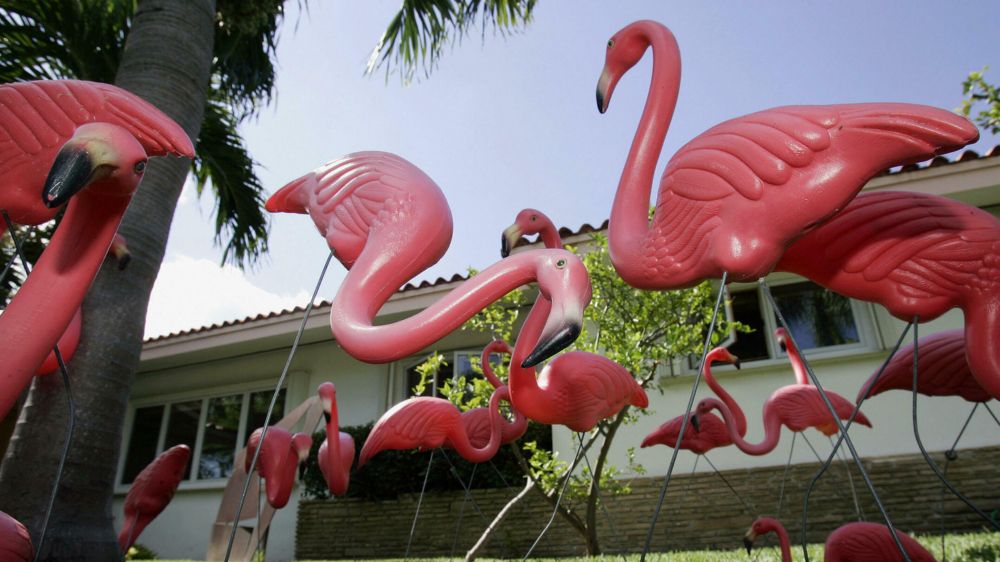 Garden gnomes and porch swings: Lively front yards linked to more connected residents